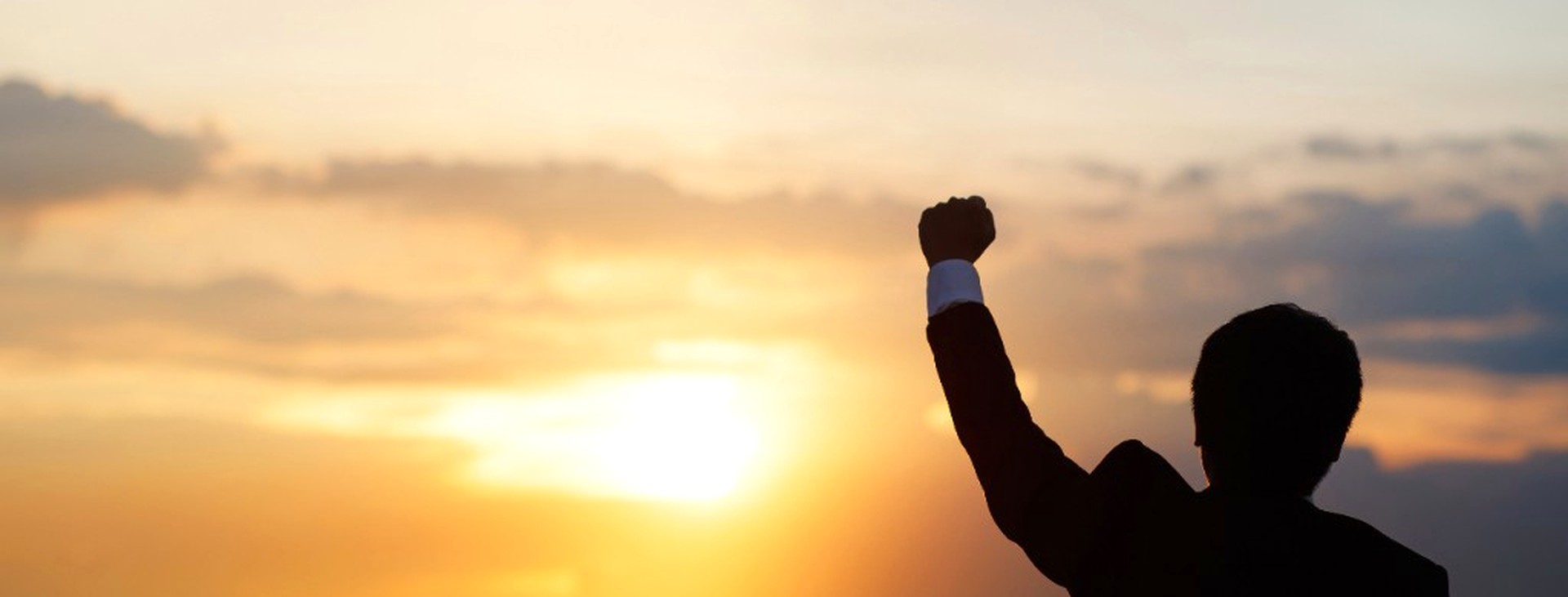Silhouette of a person with a raised fist at sunset over a city skyline
